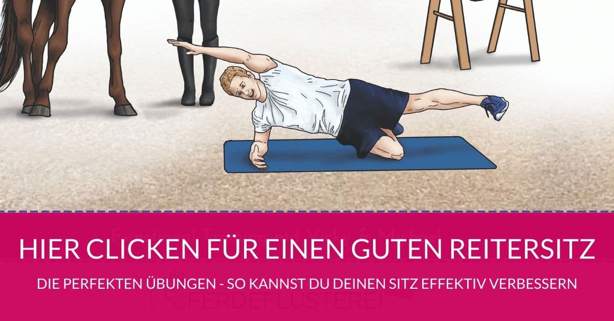 Reiterfitness! So machst du dich fit für den Sattel 2