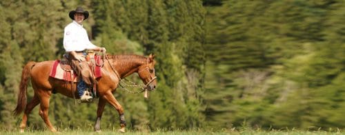 Pferdetrainer Bernd Hackl beim Reiten (Foto: Zauberwald)
