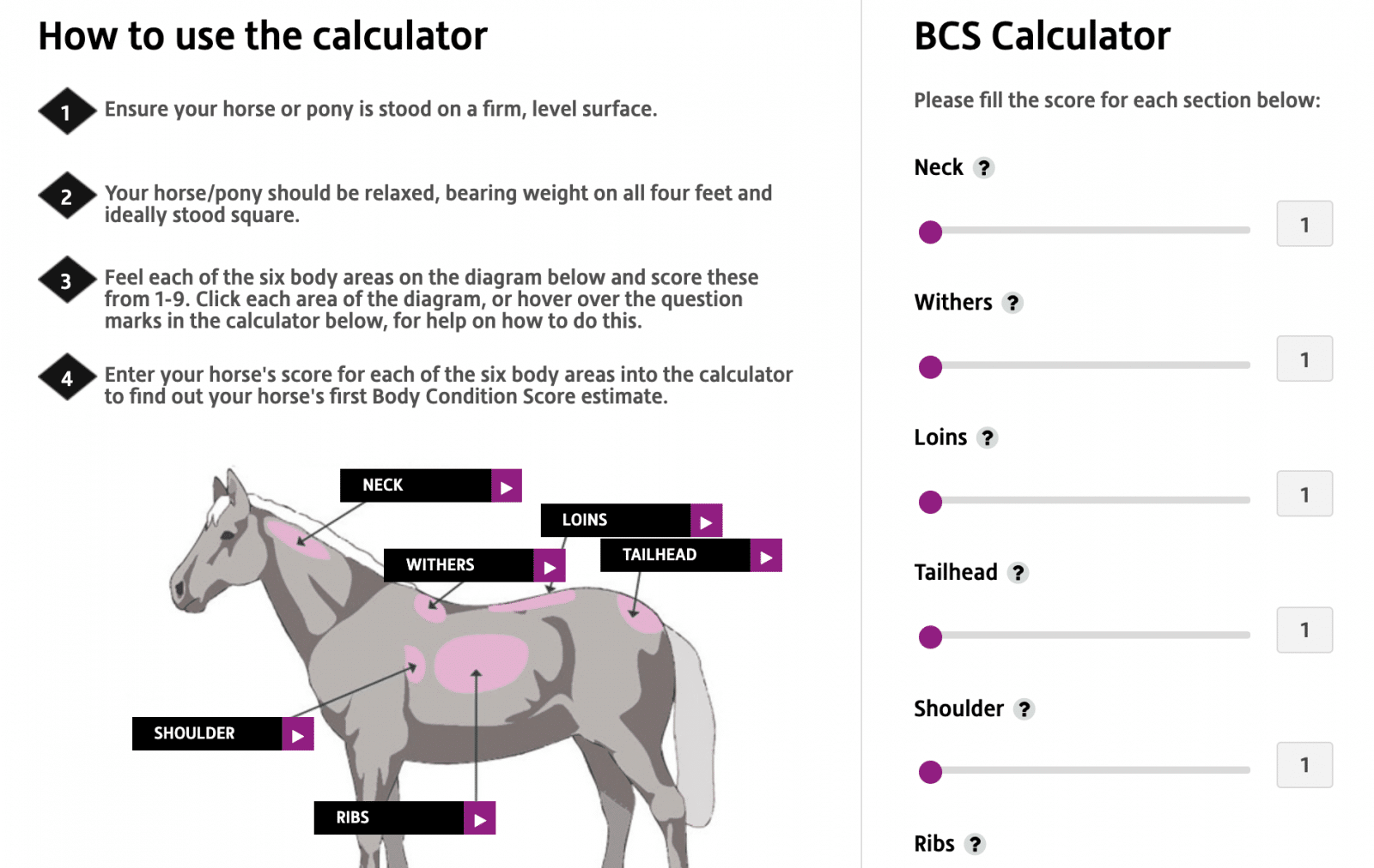 Blähbauch Pferd Erkennen