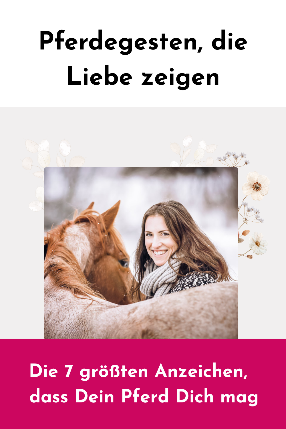 Anzeichen, dass dein Pferd dich mag 