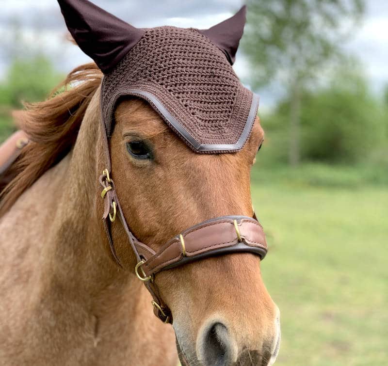 Horsenality: Wie du die Persönlichkeit deines Pferdes besser einschätzen kannst 1 Horsenality: Wie du die Persönlichkeit deines Pferdes besser einschätzen kannst 1