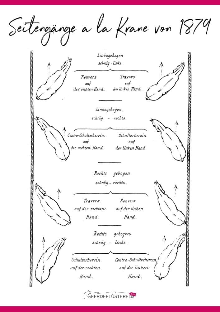 Seitengänge Pferd! Von K wie Kruppeherein bis T wie Traversale 1