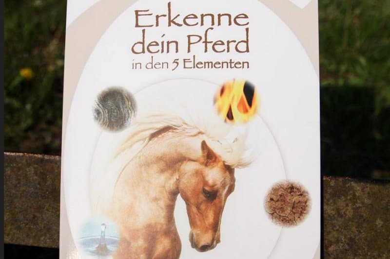 Erkenne dein Pferd