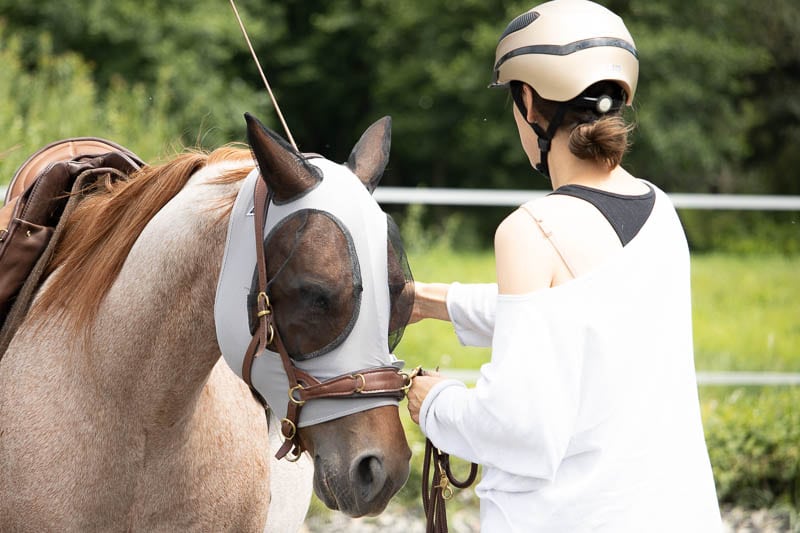 Verspannungen beim Pferd? Das kannst du dagegen tun 13 Bodenarbeit pferd
