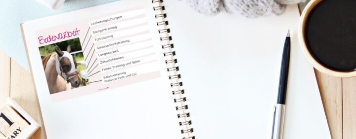 Trainingsplan Pferd Die Besten Tipps