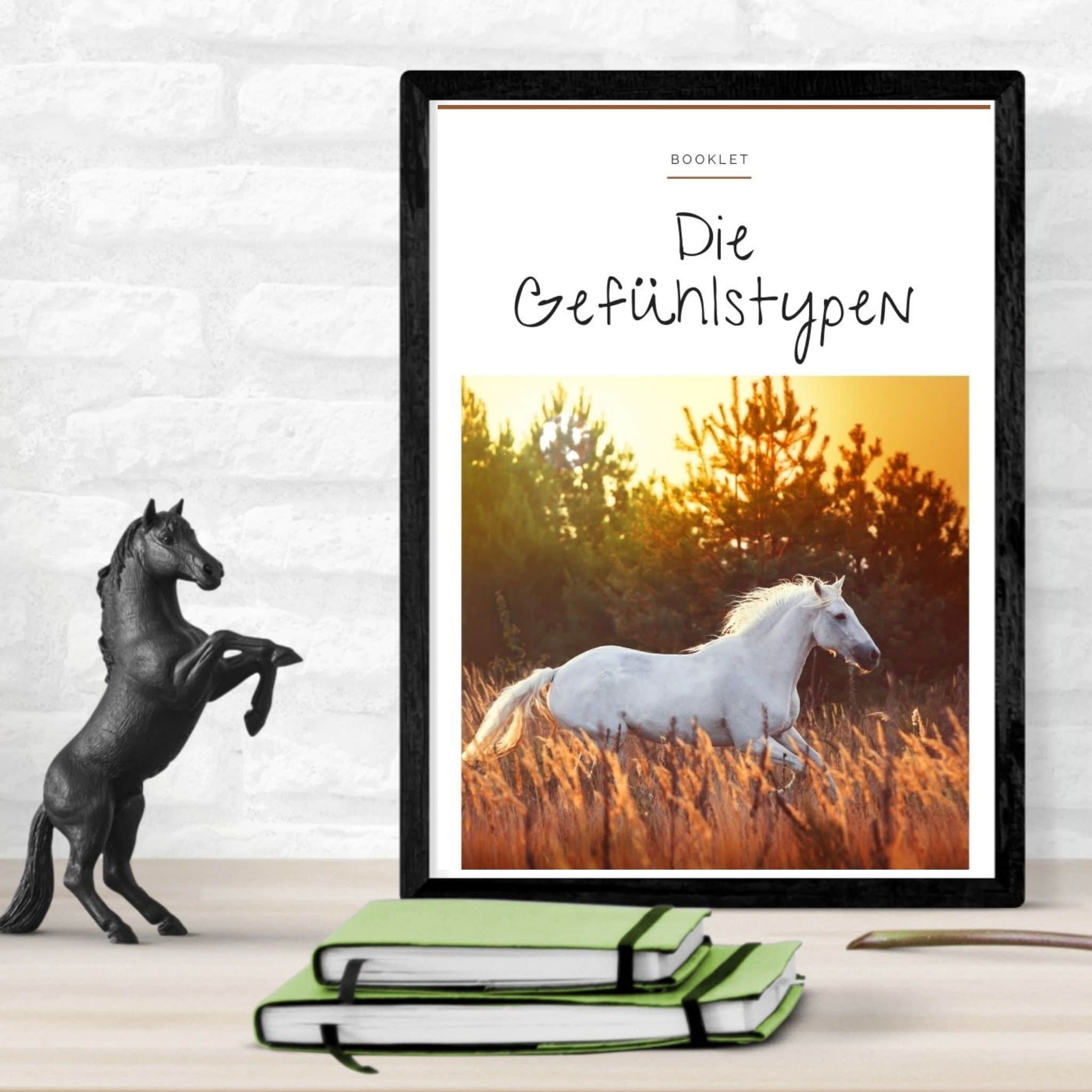 Schnapp dir den Pferde Onlinekurs "Embodiment for Horses" 3