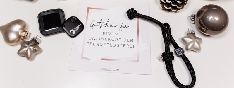 Geschenk für Reiter