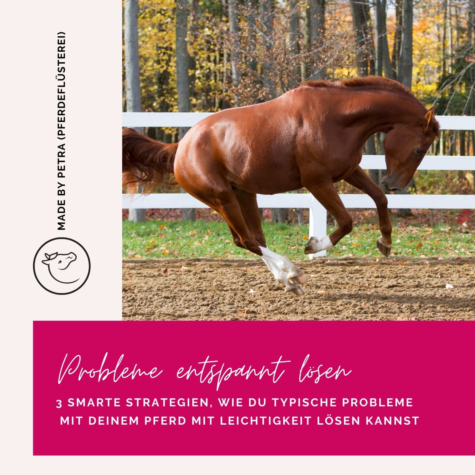 Probleme sanft lösen Kurs Cover