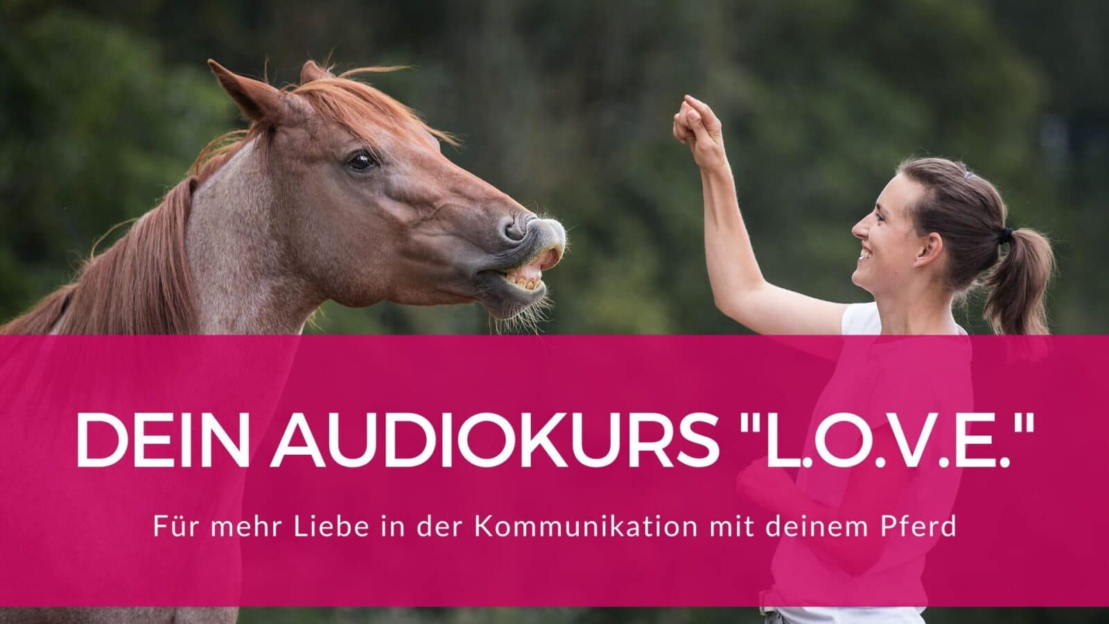 Schnapp dir den Pferde Onlinekurs "L.O.V.E." für eine bessere Beziehung 4 Schnapp dir den Pferde Onlinekurs "L.O.V.E." für eine bessere Beziehung 2