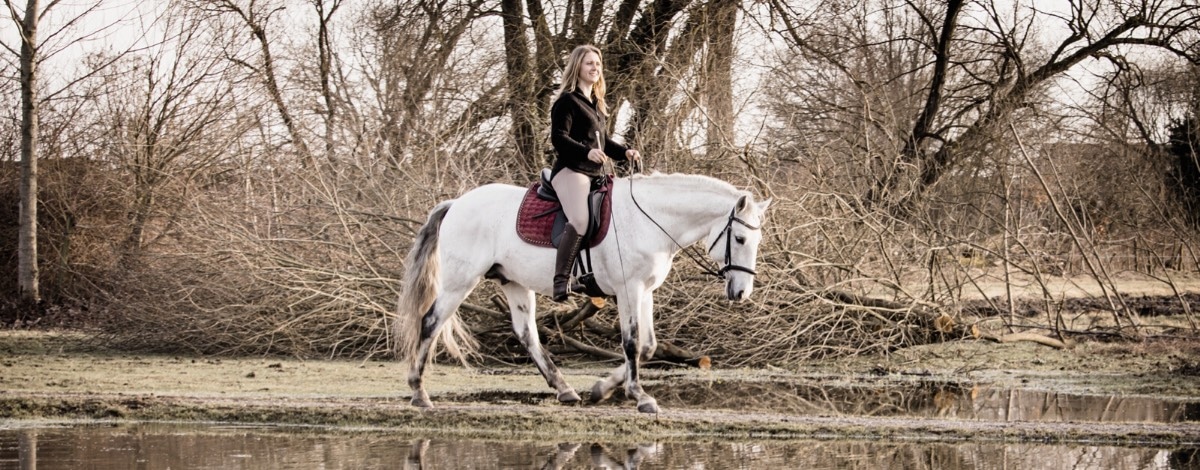 Hero reitet Schritt auf weißem Pferd