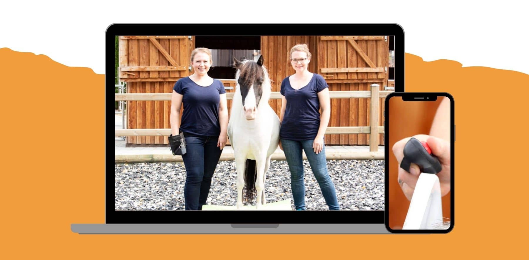 Schnapp dir den Pferde Onlinekurs \