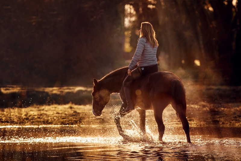 Reiten ohne Angst: 3 schnelle Tipps für dich 1