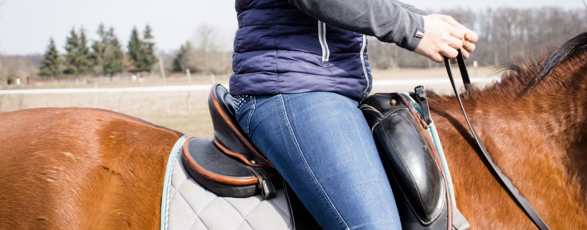 Richtig Trab Reiten (Hero)