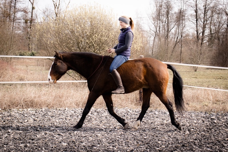 Richtig Trab Reiten (Hero)