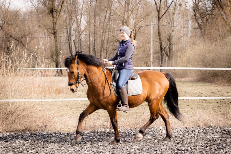 Richtig Trab Reiten (Hero)