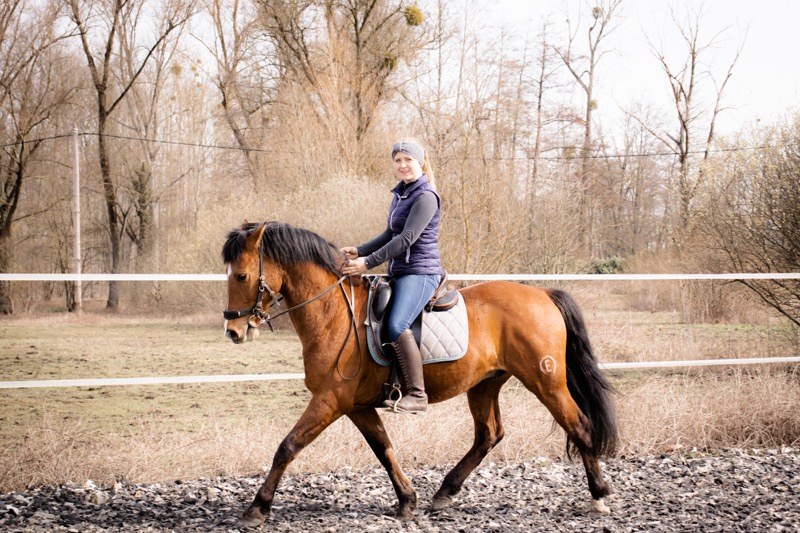 Richtig Trab Reiten (Hero)