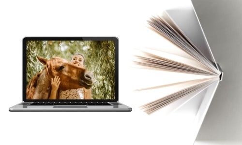 Blog Menü Wissen