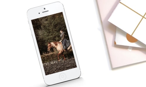 Blog Menü Reiten