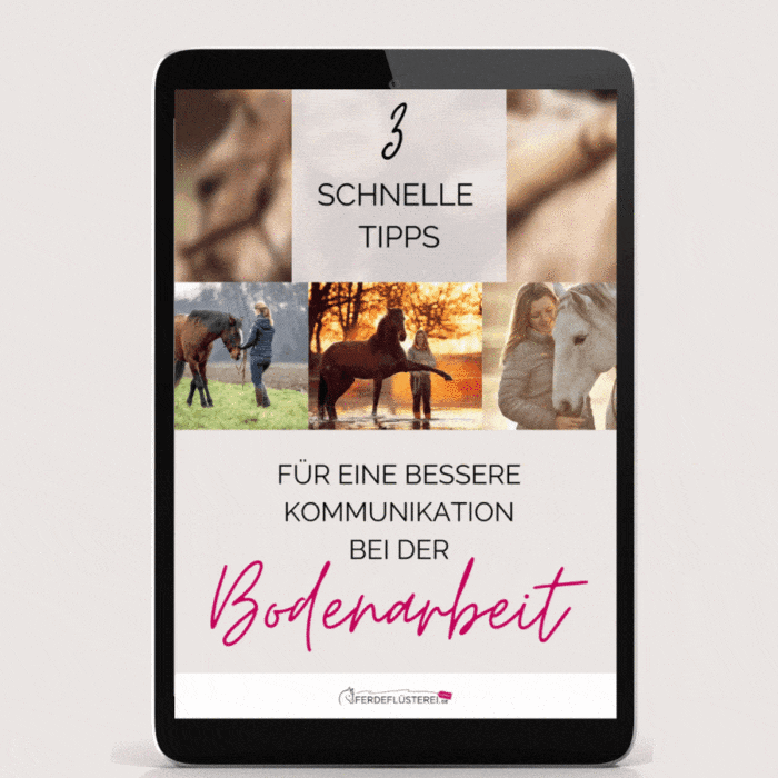 3 schnelle Tipps Bodenarbeit Kurs Hero GIF