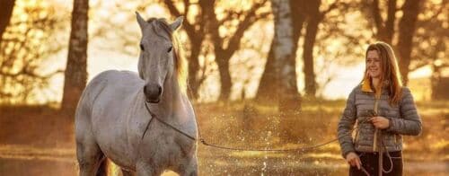 Dein Pferde Blog für Pferdemenschen mit Herz 9