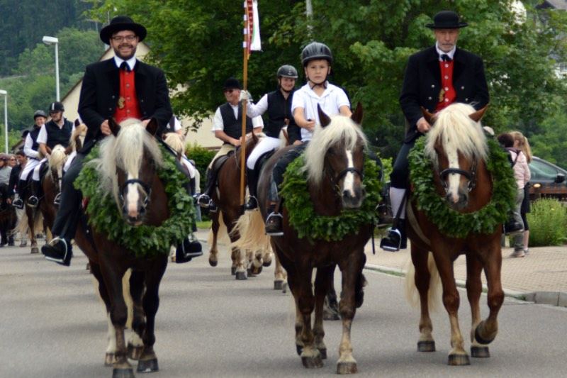 Drei Schwarzwälder Füchse geschmückt mit Reitern in traditioneller Tracht führen eine Parada an