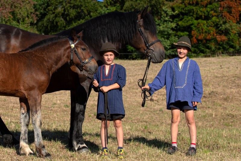 zwei kleine Jungen halten zwei Schwarzwälder Füchse auf einer Wiese