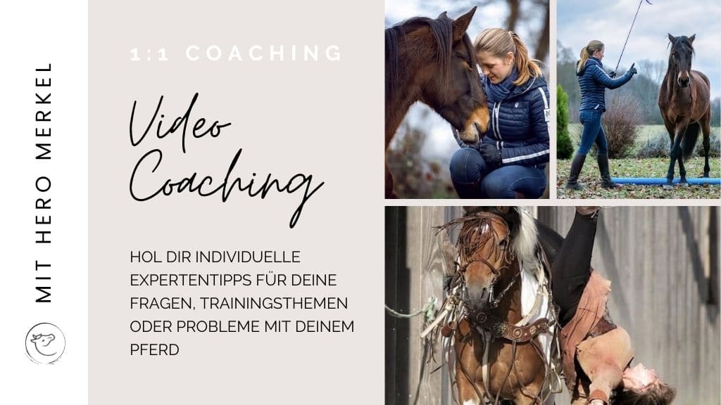 Individuelles Coaching Hero Merkel