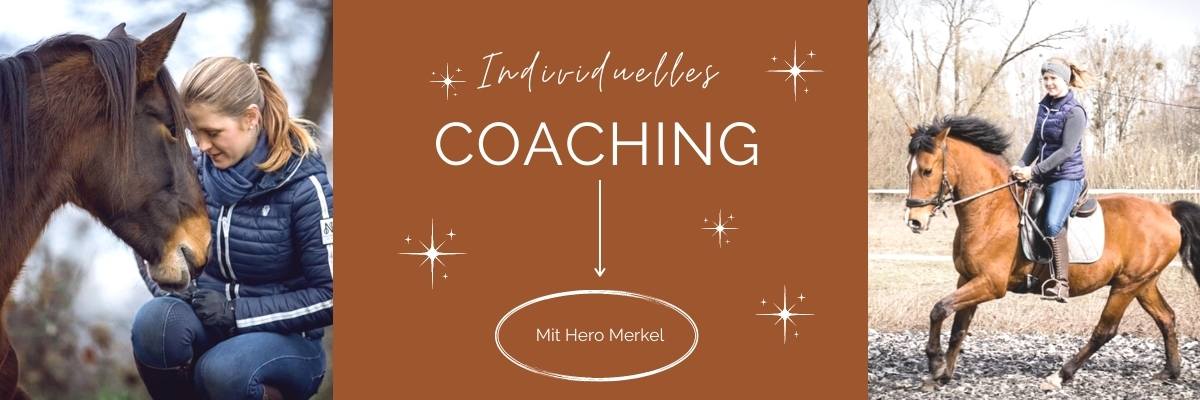 Individuelles Coaching Hero Merkel