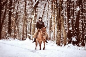 Pferd im Schnee - Carey - PIC: By Carolin Burgert