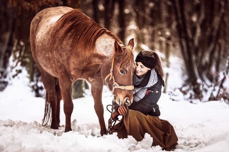 Pferd im Schnee - Carey - PIC: By Carolin Burgert