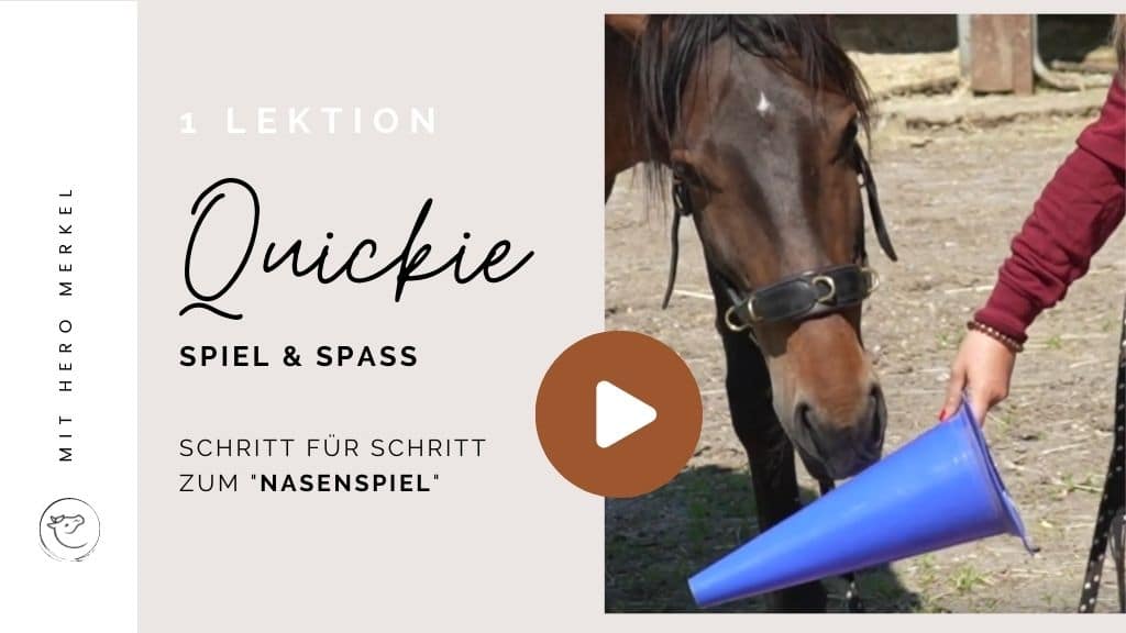 Campus Quickie Nasenspiel mit dem Pferd