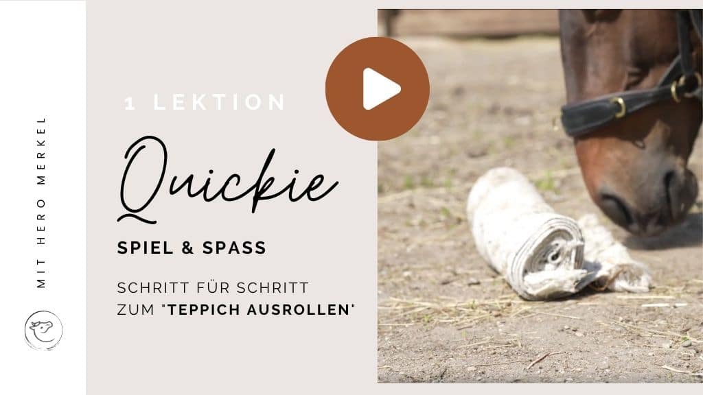 Campus Quickie Teppich rollen mit dem Pferd