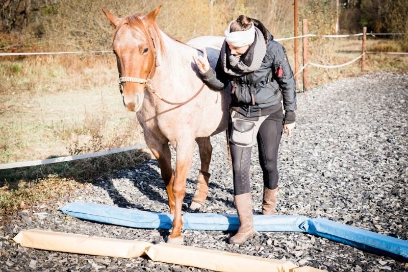 Petra und Carey Stangentraining