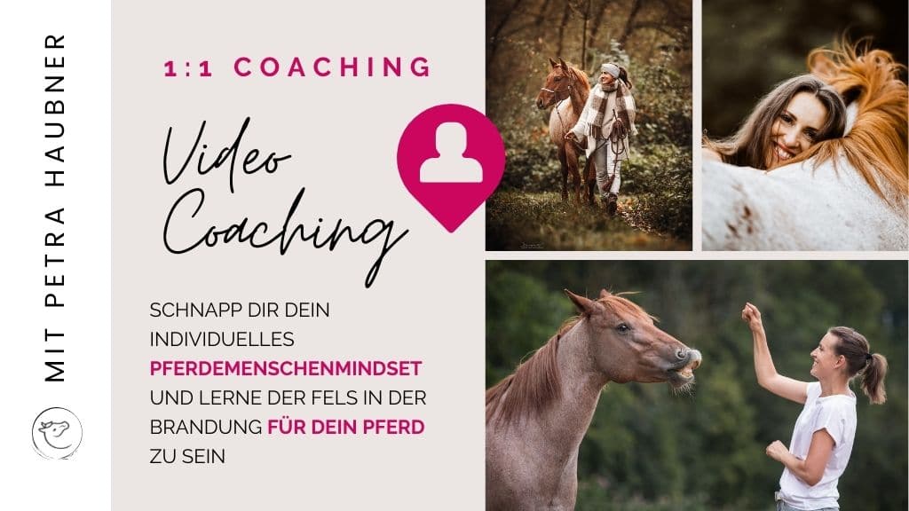 Campus Cover Videocoaching Petra