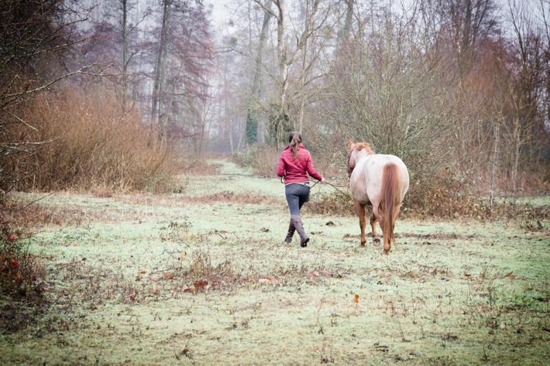 Petra und Carey gehen über eine Wiese