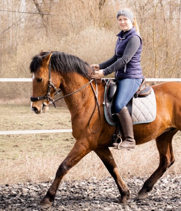 Reitmagie - 1 Woche Audiotraining 5 Startbild_Sliderchen Reitformel Hero Dito