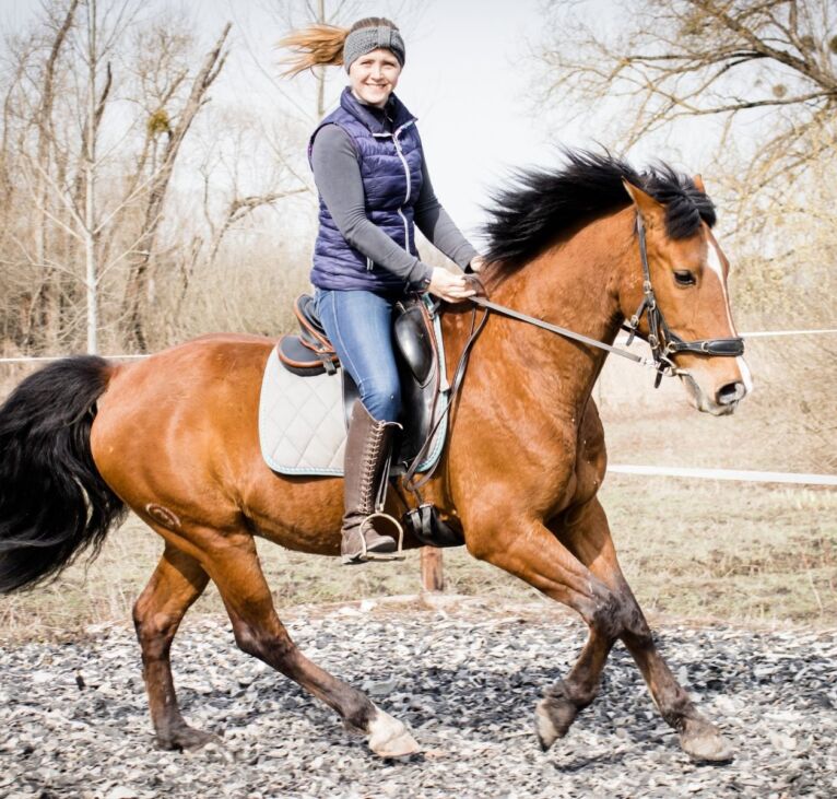 Hero Reitet - grosses Bild
