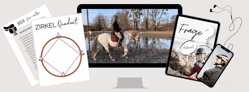 Schnapp dir "DIE Reitformel" 11 Gif Nude Hero mit CHoco Reitformel
