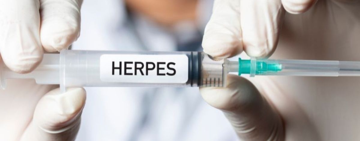 Herpes Spritze Pferd Impfung Slider