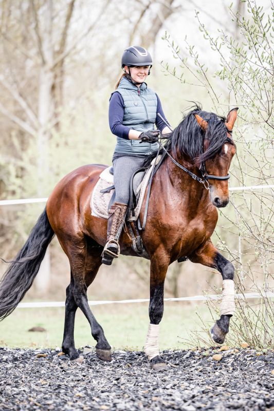 Hero Reiten auf Jewis