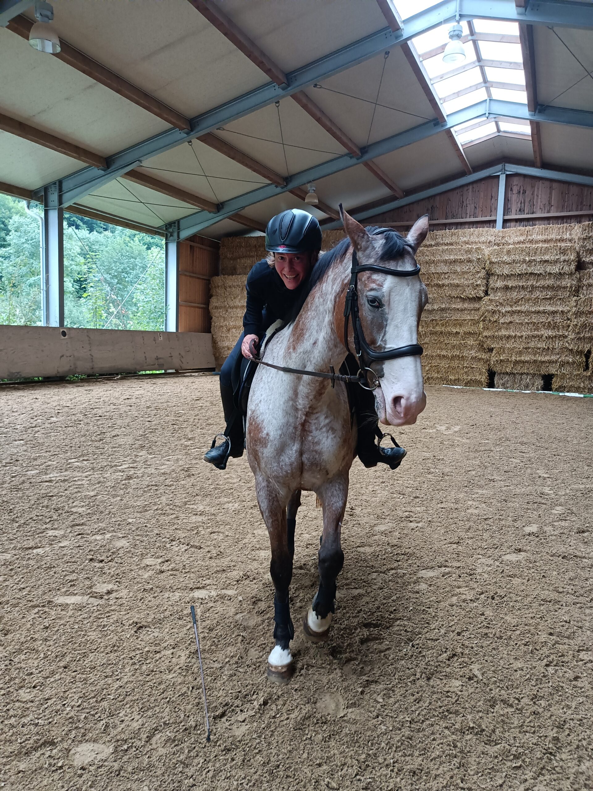 DER ReitCLUB 1 Testimonial Reitformel