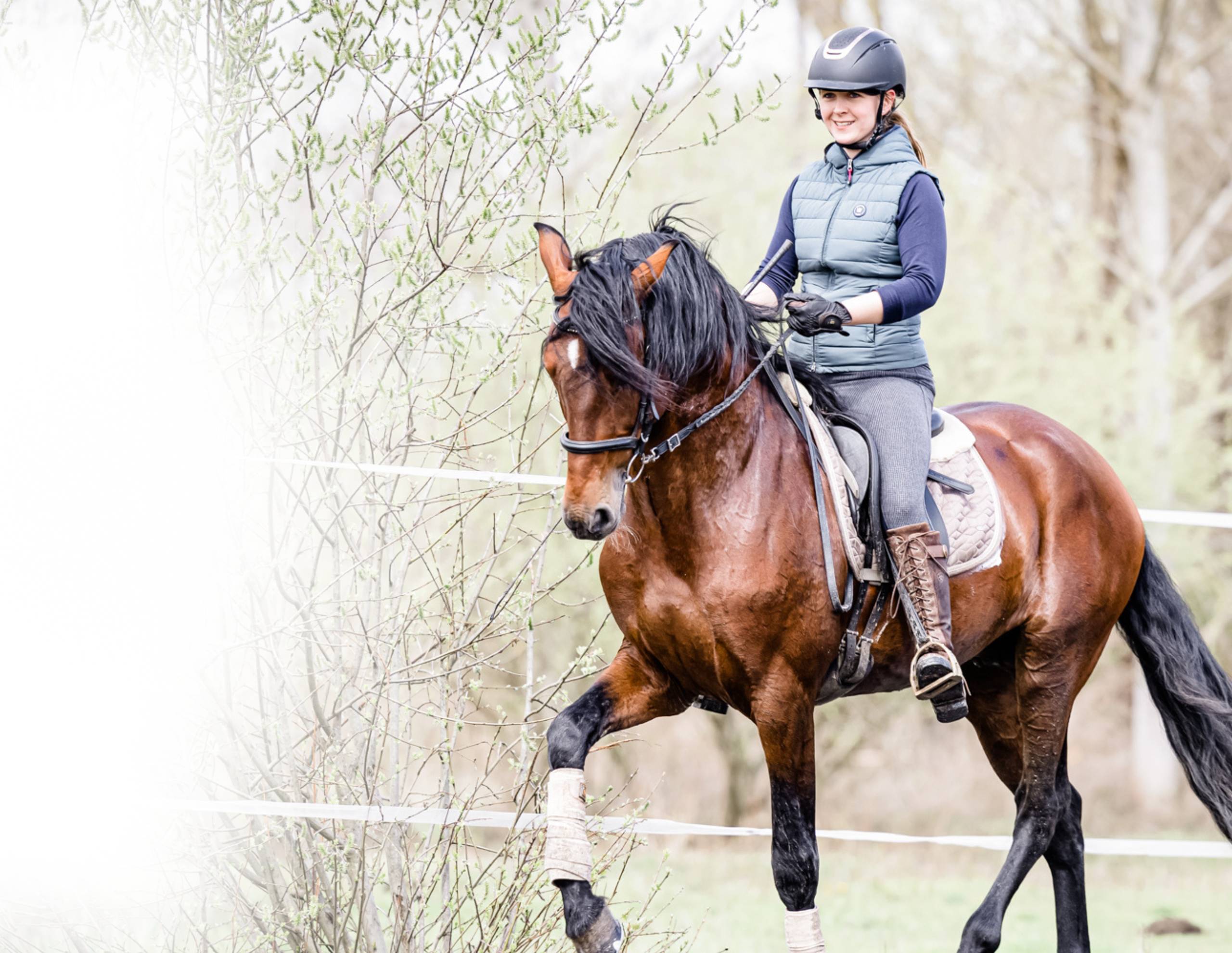 Reiten ohne Langeweile: Mehr Abwechslung, bessere Verbindung mit 3 Ideen für dein Training