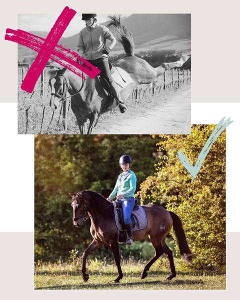 Horsemindshift CLUB - Hochformat