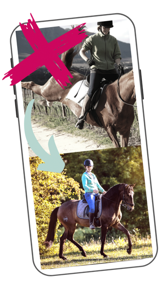 Schnapp dir "DIE Reitformel" 4 Reitworkshop