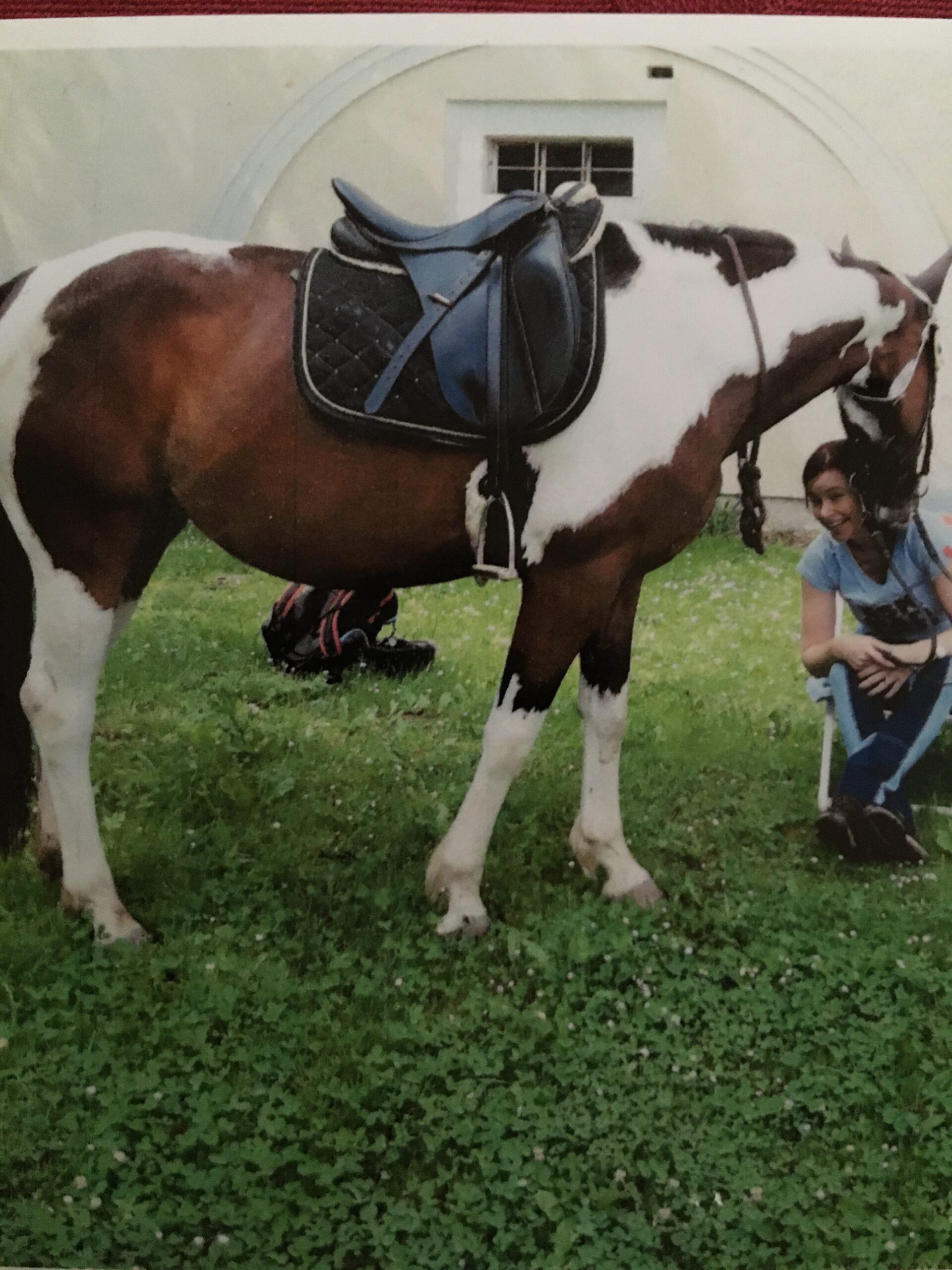 DER ReitCLUB 3 Testimonial Reitformel