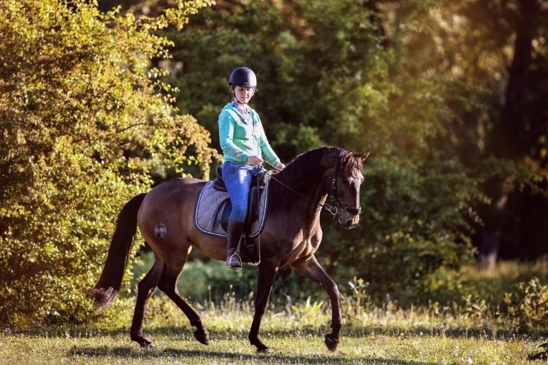 Entspannt Ausreiten im Gelände ausreiten - Hero Jezebel