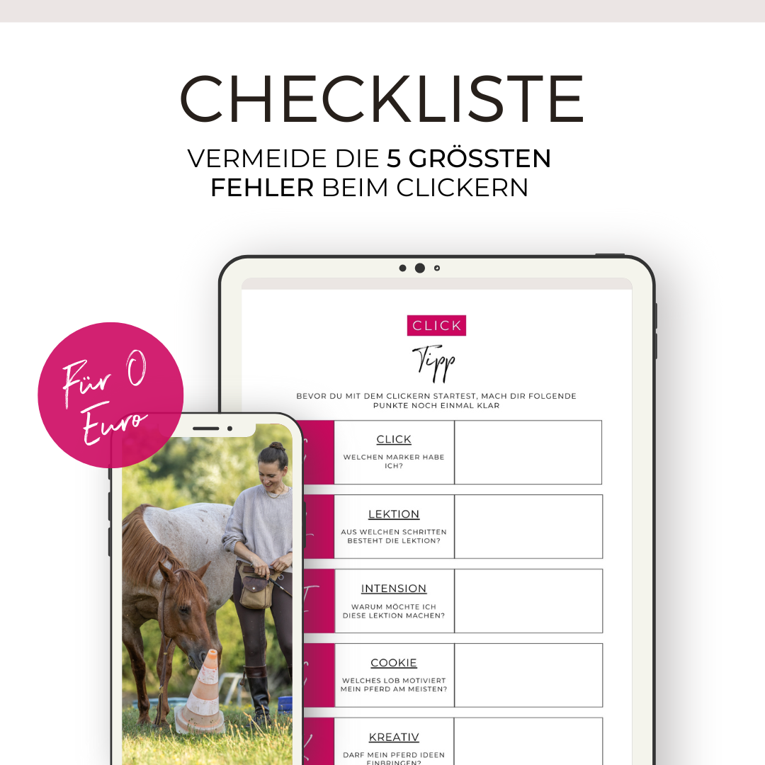 Checkliste Clicker Freebie ADD - Quadrat - Mock Up