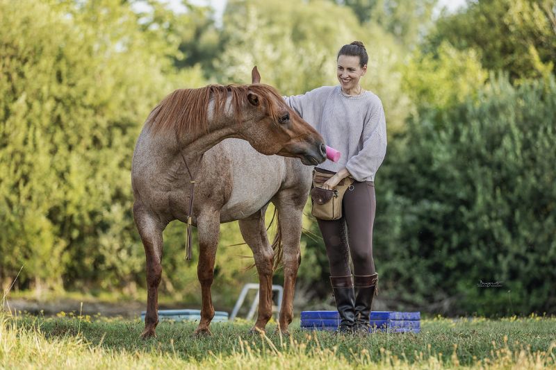 Petra clickert mit Carey