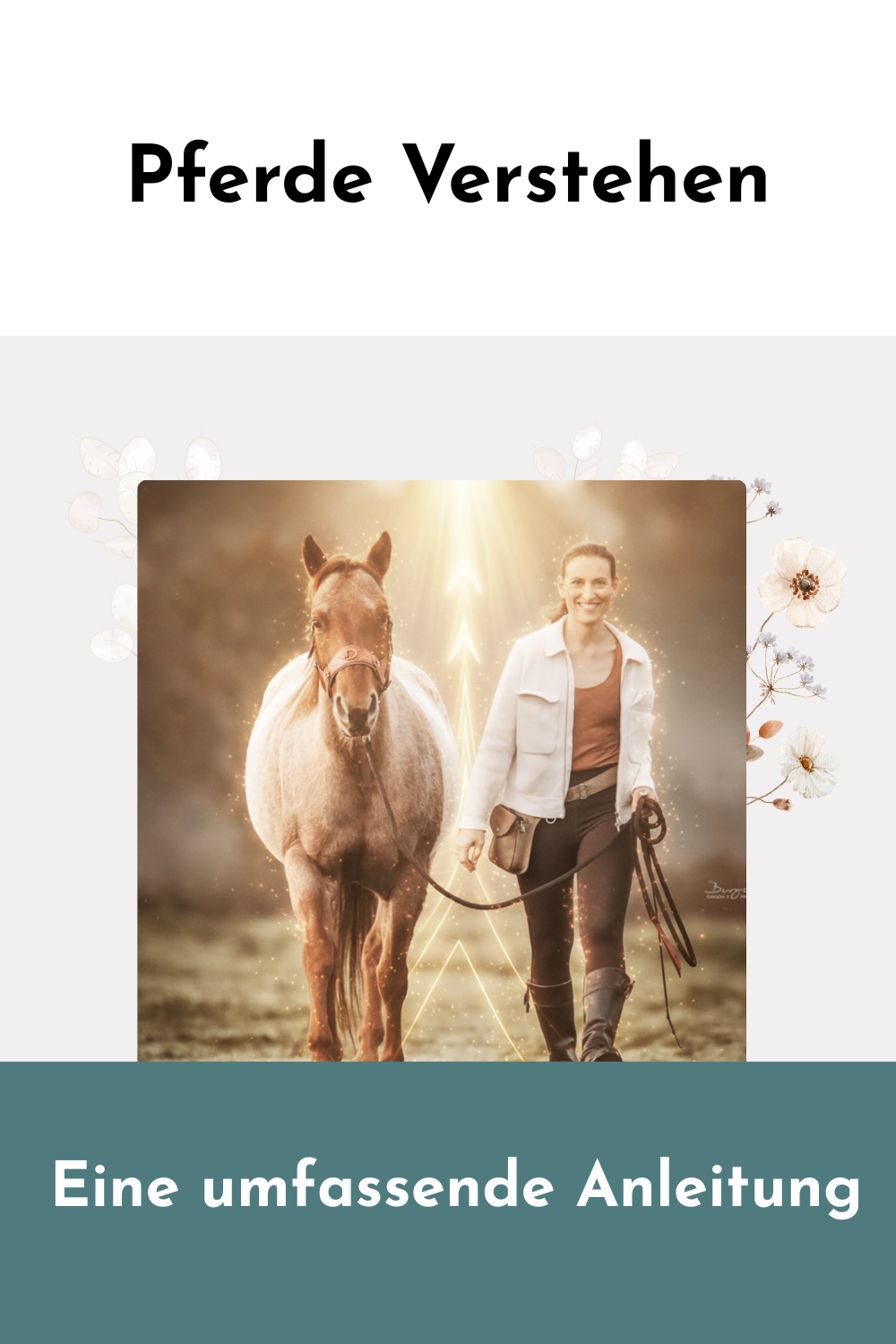 Wie verstehe ich mein Pferd? Der komplette Guide zum Pferde Verstehen 1 etra mit ihrer Stute Carey auf der Wiese Pferde verstehen lernen