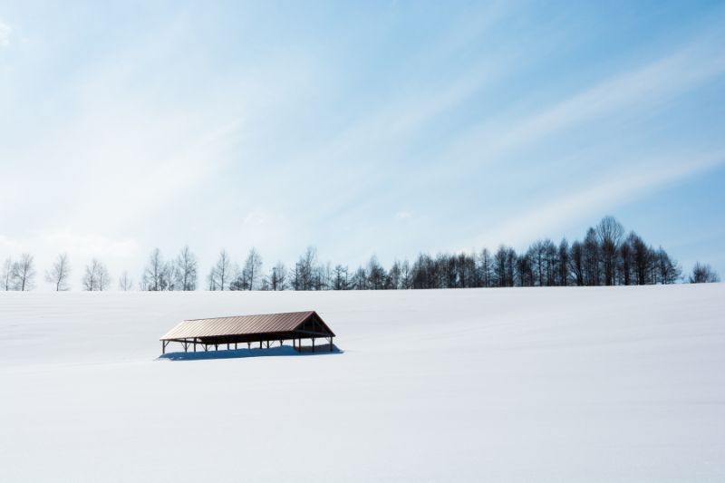 Die Klimaweide - Richtiges Weidemanagement für die Pferdeweide im 👉🏻 Januar 1